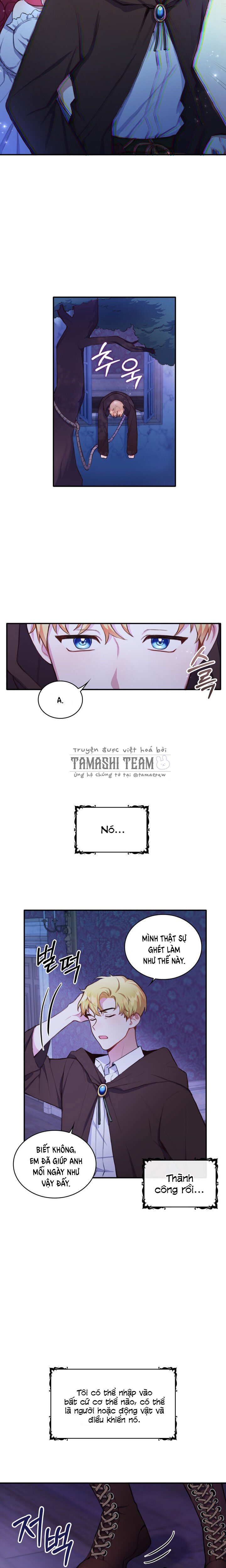 con gấu bông của công tước chapter 1 17