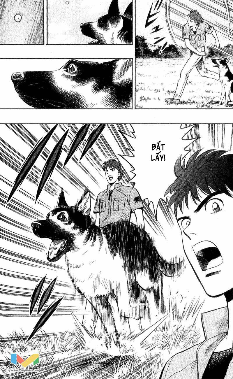 animal sense chapter 3 34