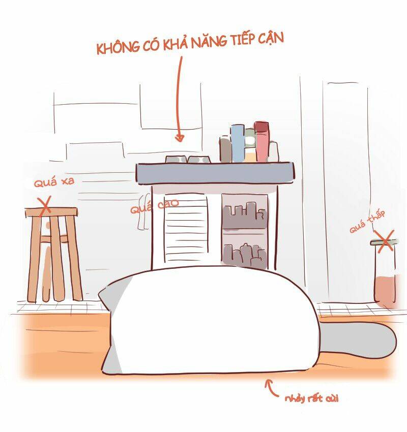 saphie: chú mèo một mắt chapter 23 8