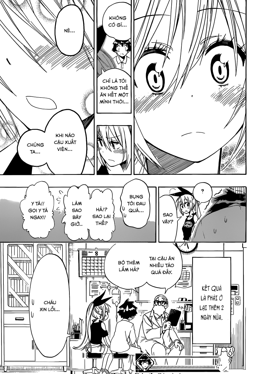 nisekoi - tình yêu giả tạo chapter 117 20