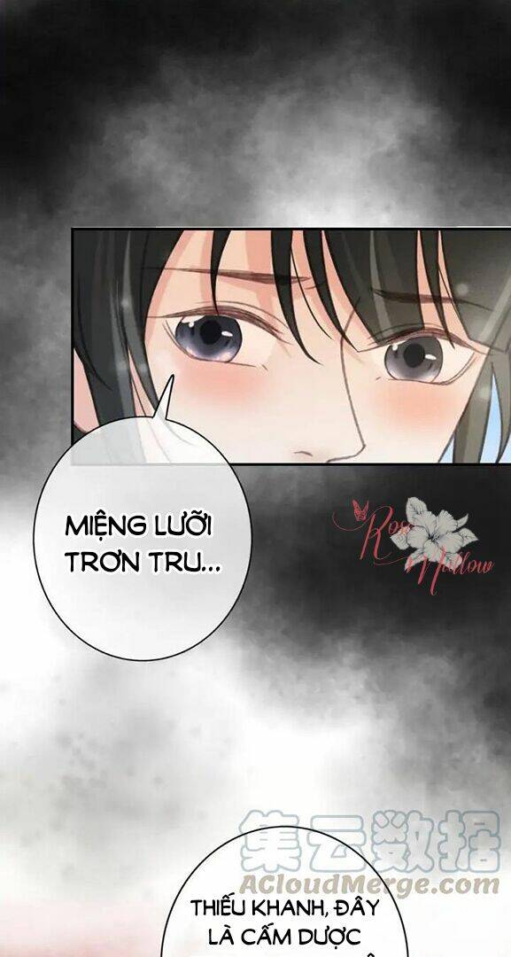 đông cung giai hạ tù chapter 84 17