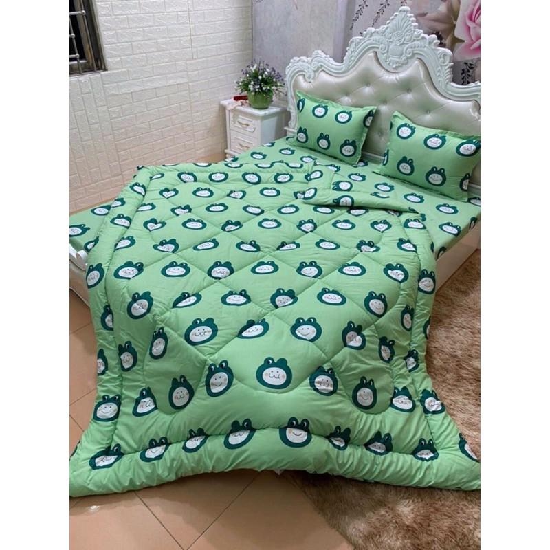 Combo 5 món chăn ga gối Cotton Poly nhiều kích cỡ