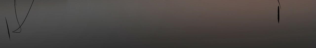 những chú thỏ của hapypy chapter 53 281