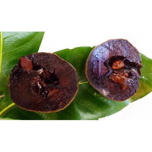 CÂY GIỐNG HỒNG ĐEN SOCOLA NHIỆT ĐỚI SIÊU NGON, CAM KẾT CHUẨN GIỐNG F1 - CGHDSCLF1
