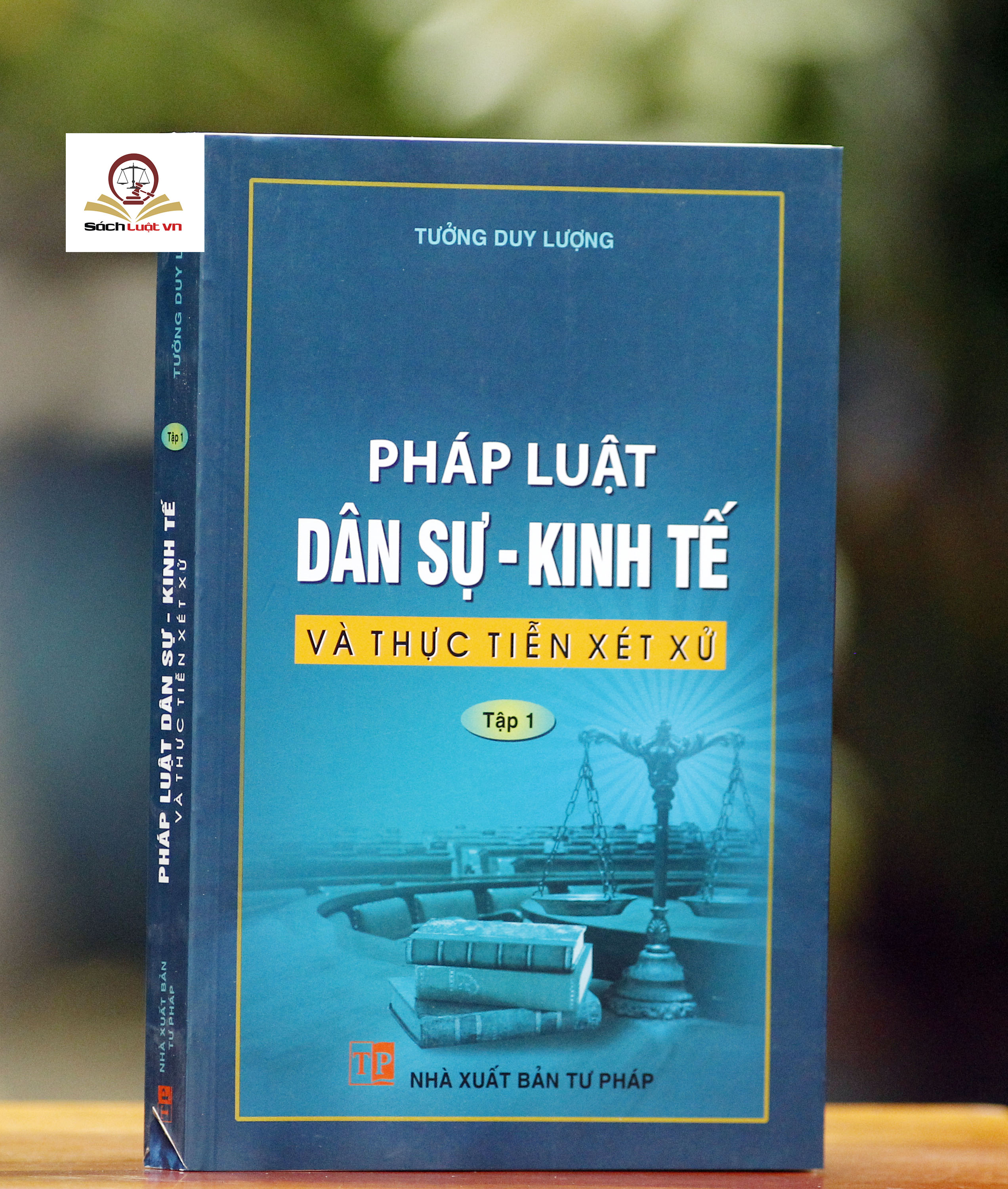 Pháp Luật Dân sự - Kinh tế và thực tiễn xét xử tập 1