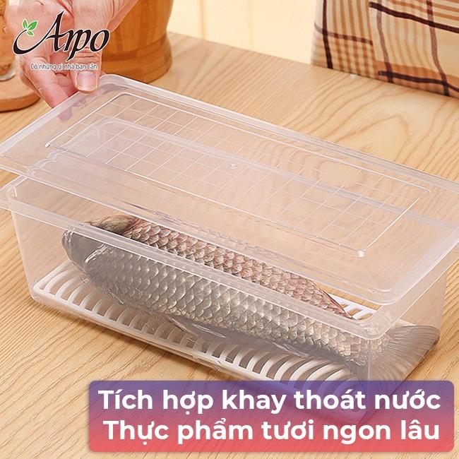 Hộp Nhựa Tủ Lạnh Bảo Quản Thực Phẩm Trong Suốt TÍch Hợp Khay Ráo Nước Giúp Thức Ăn Tươi Lâu - Hộp Tủ Lạnh Có Nắp