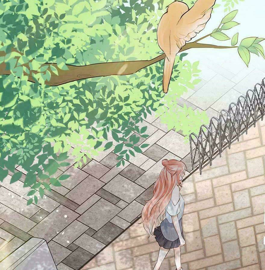 sau này vẫn cứ thích em chapter 35 15