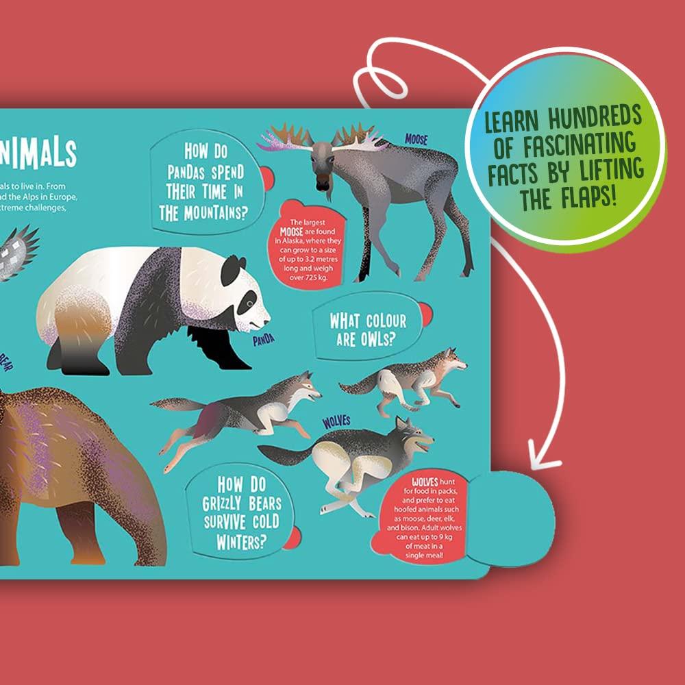 Seek And Find Animals (Seek &amp; Find - Searchlight Books)