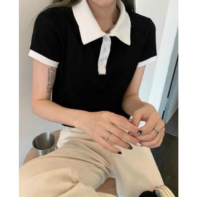 Áo polo croptop cổ phối màu basic thời trang NIEVE