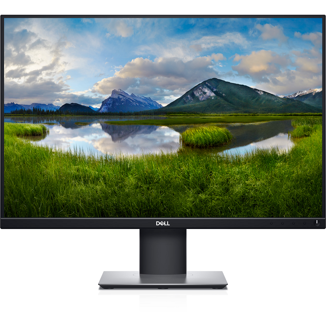 Màn hình Dell P2421 24inch WUXGA 8ms 60 Hz IPS - Hàng Chính Hãng