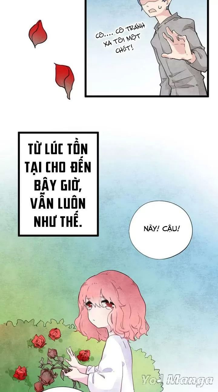 hữu ngôn tại tiên chapter 8 5