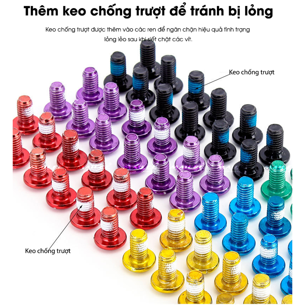 12 cái ốc vít đĩa phanh T-25 M5x10mm trang trí màu sắc (12 Cái/ bộ) bằng thép không gỉ dành cho xe đạp núi MTB phụ kiện xe đạp- Mai Lee