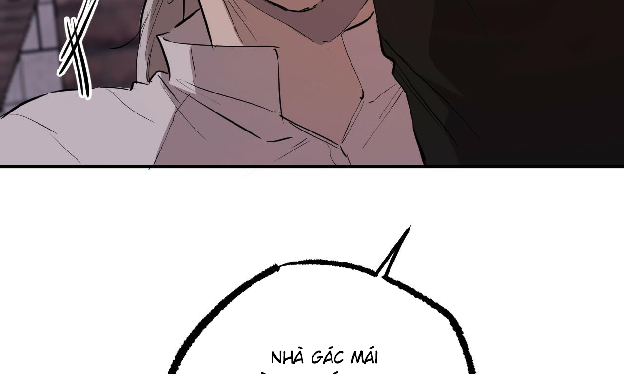 những chú thỏ của hapypy chapter 51 256