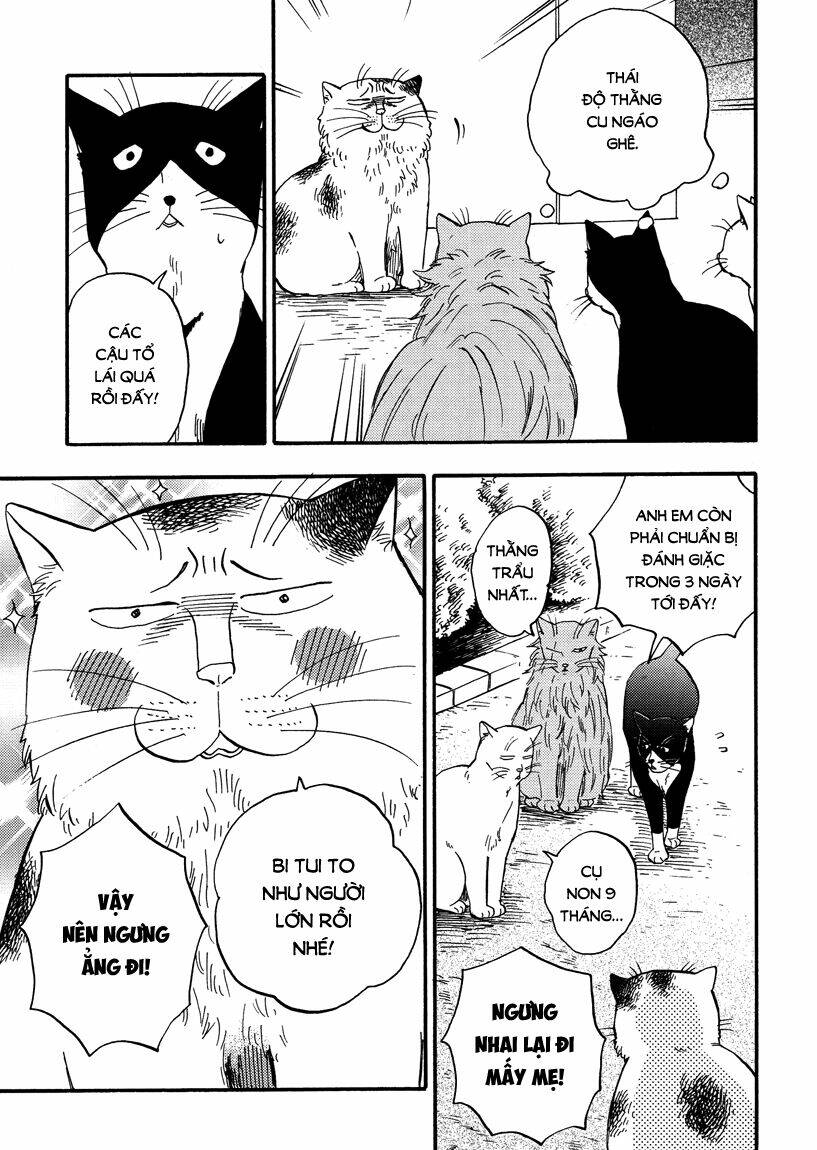 tui là busamen! chapter 7 4