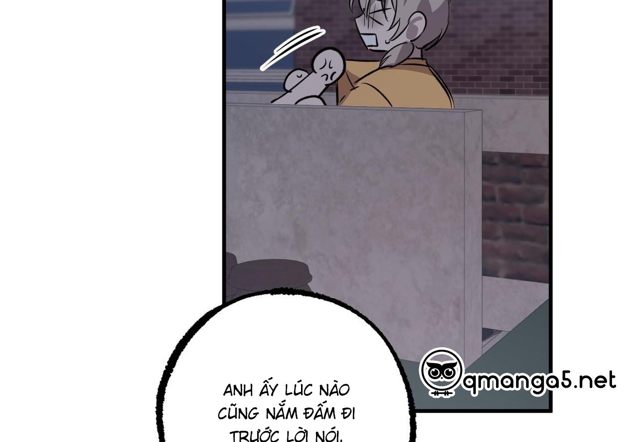 những chú thỏ của hapypy chapter 60 117