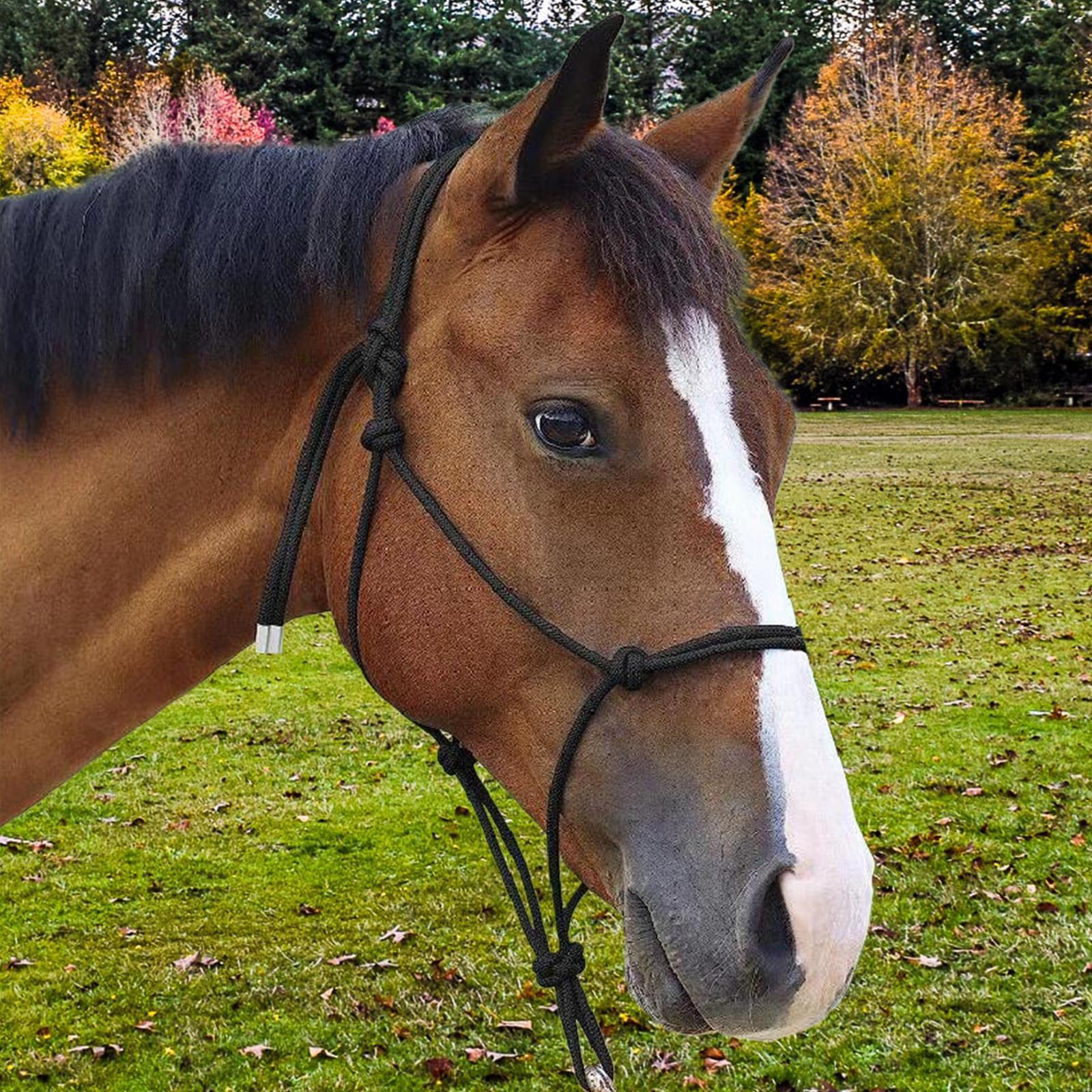 Horse Rope Training Halter Farm Durable Adjustable Horse Halters