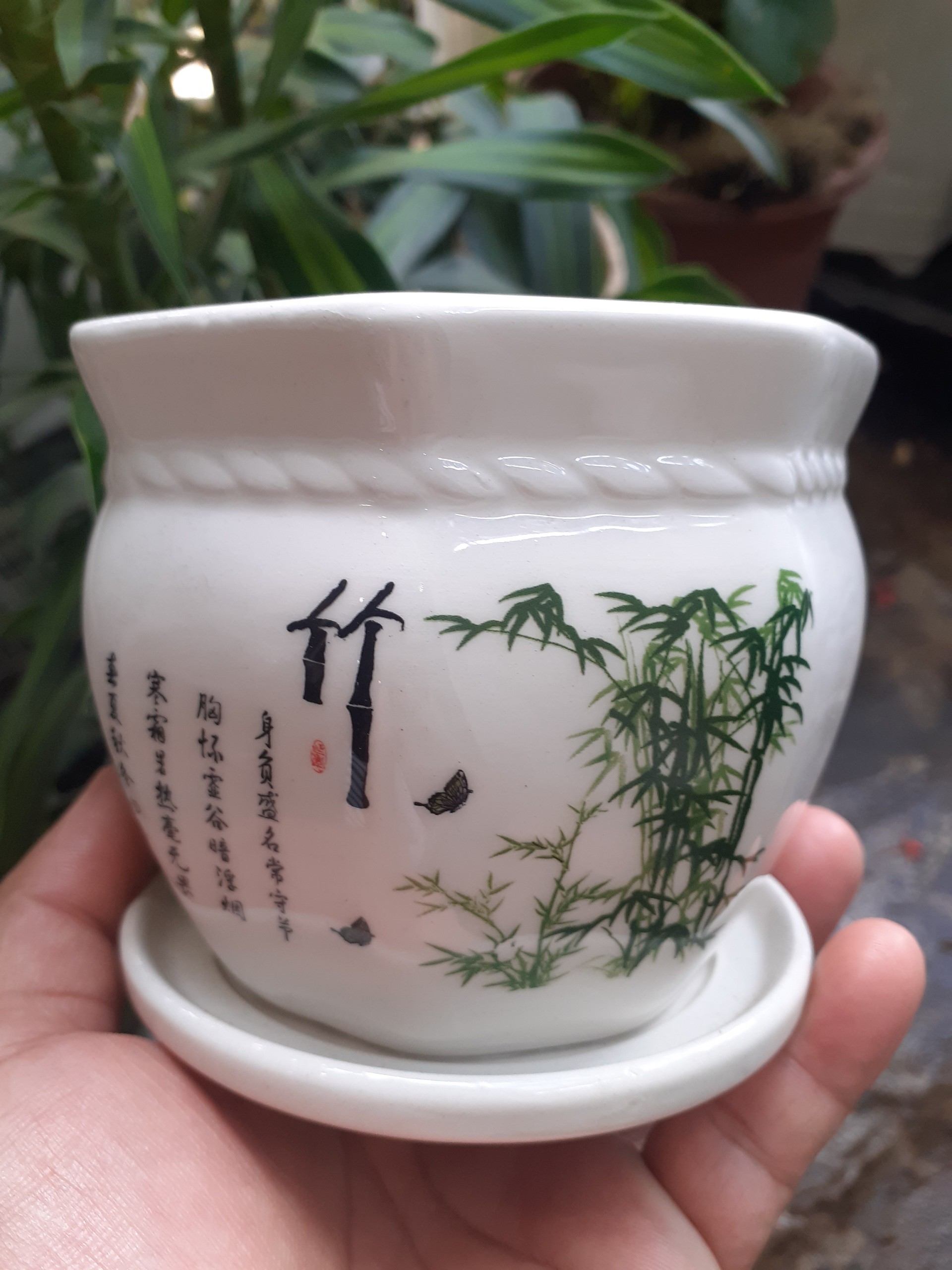 Chậu sứ kèm dĩa thơ thuỷ trúc bát giác đẹp tinh khiết