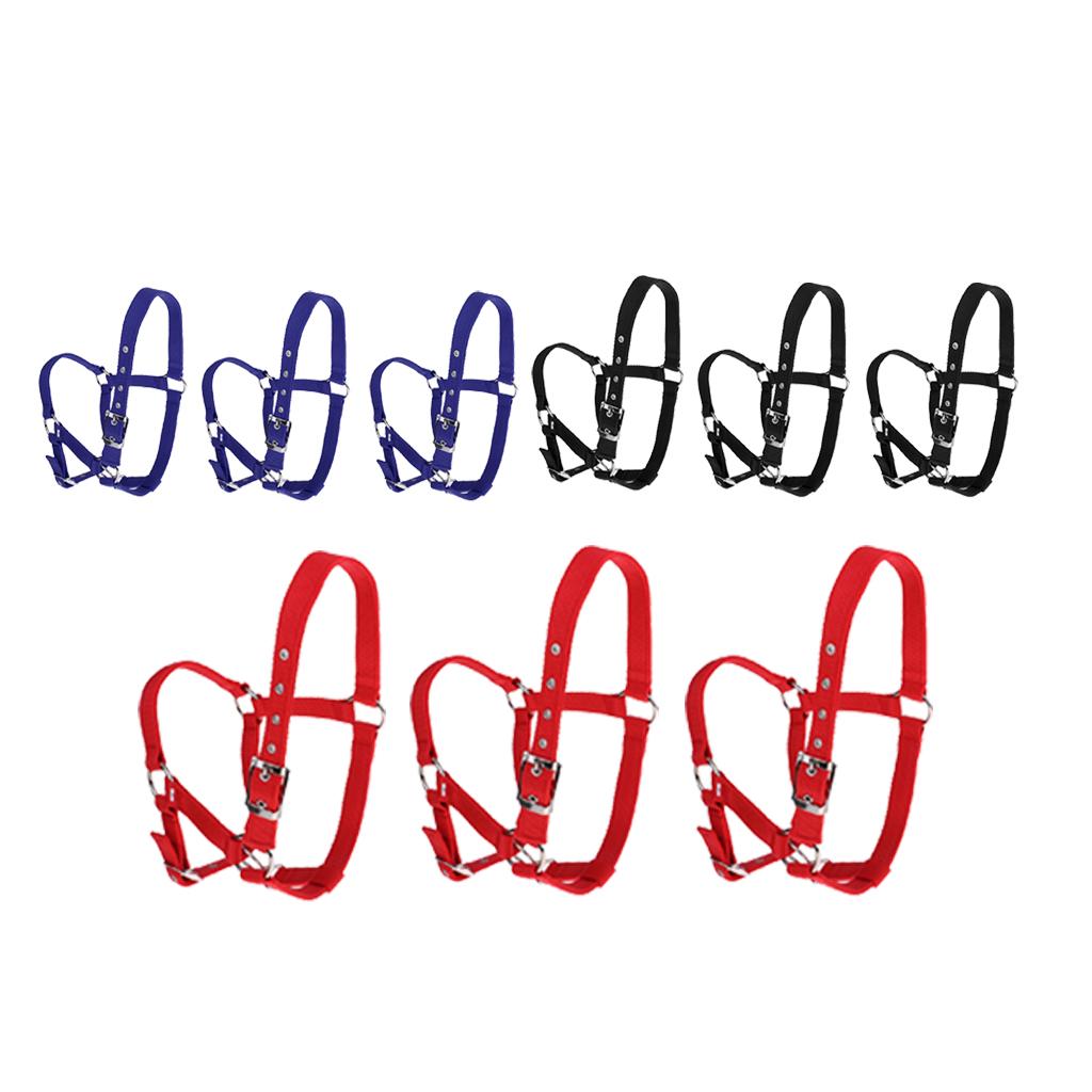 Adjustable Nylon Webbing Equestrian Western Horse Halter Horse Riding Wear Red S