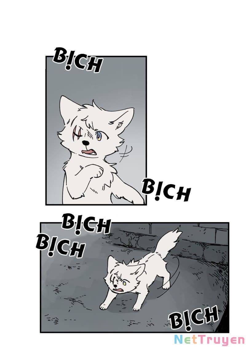 lumine - cội nguồn ánh sáng chapter 160 4