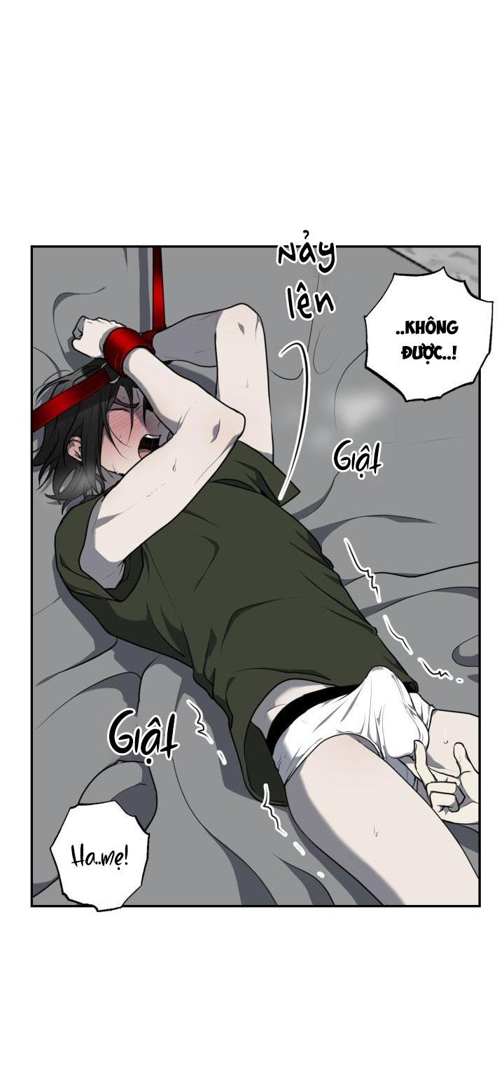 dưỡng thú cưng chapter 8 16