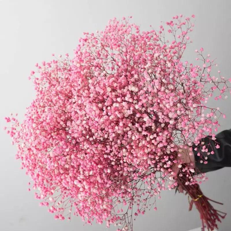 Hoa Khô - Bó 100g Hoa Baby Bloom Tuyệt Đẹp Phong Cách Vintage Trang Trí Nhà Cửa, Làm Hoa Cưới
