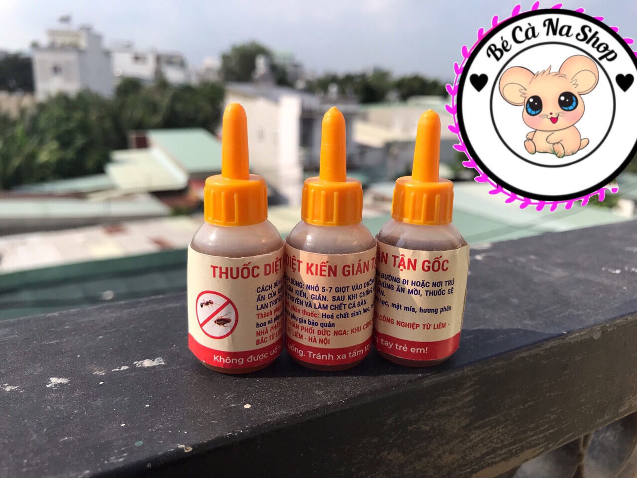 Diệt kiến tận gốc rất cần cho hamster , thỏ bọ sóc chinchilla...