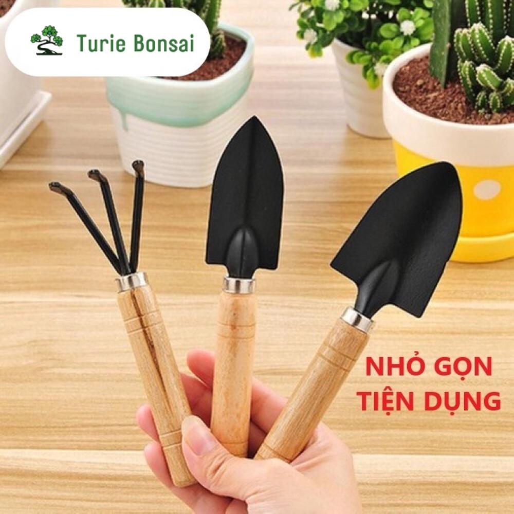 Bộ 03 Dụng cụ làm vườn cán gỗ Xẻng + Bay + Cào đất trồng rau trồng hoa chăm cây cảnh
