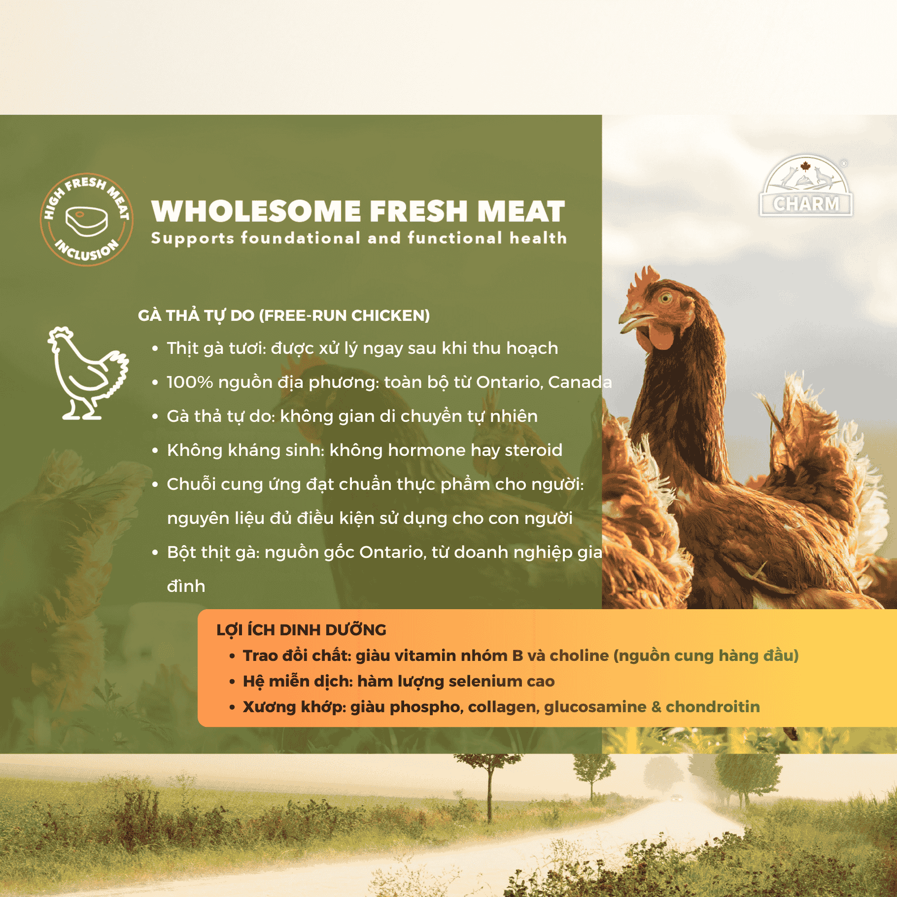 Thức Ăn hạt Mèo cao cấp Gà Cá CHARM Cage-Free Chicken Cat Food Dry food Canada - CHỌN