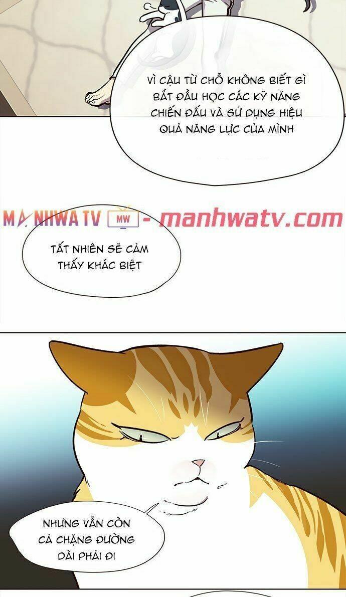 biến thân thành mèo chapter 22 17