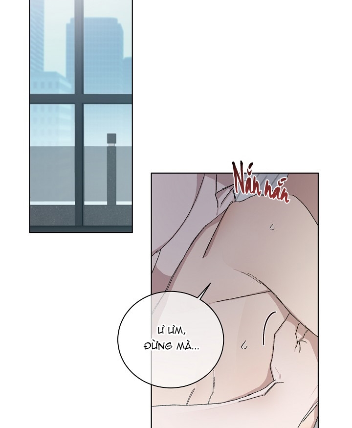 chàng tuấn mã của tôi chapter 24 4