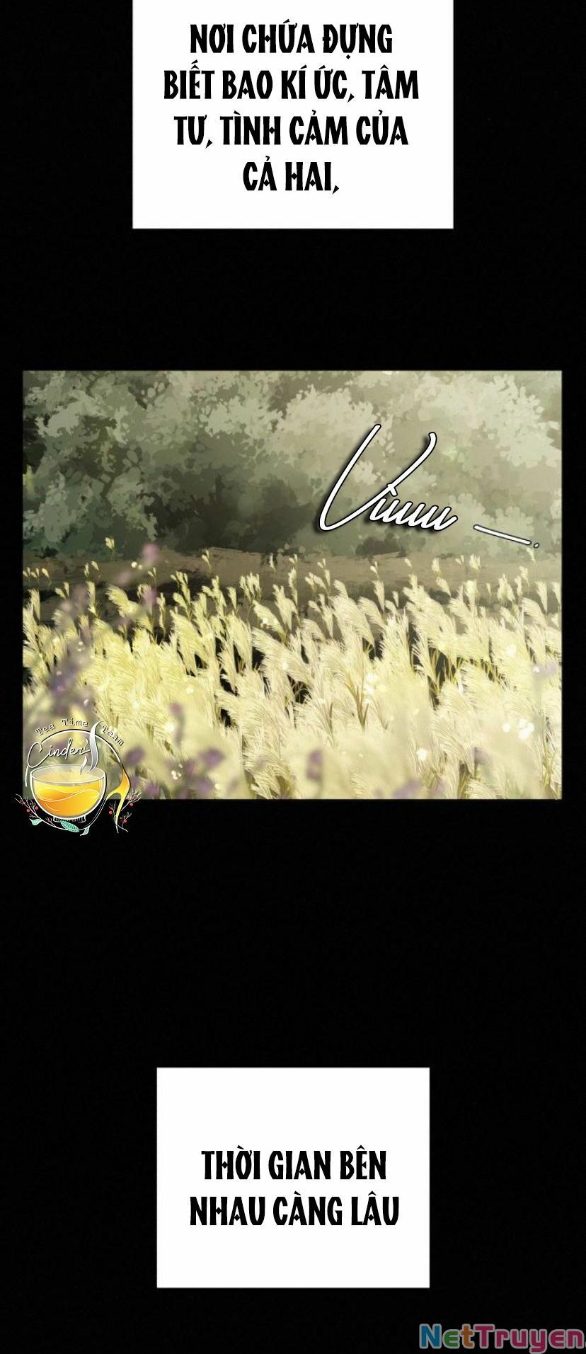 chiến lược: tình yêu trong sáng chapter 11 16