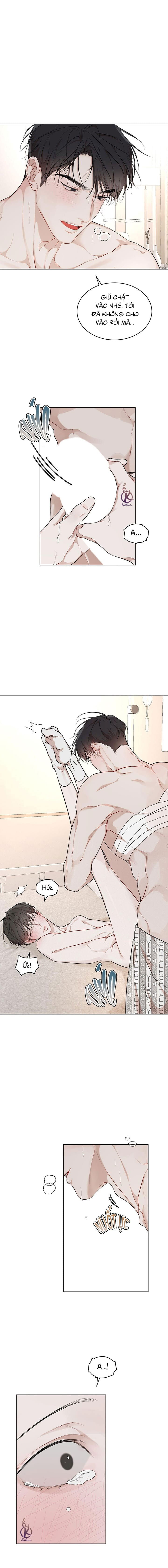 hình thái khởi sinh chapter 65 11