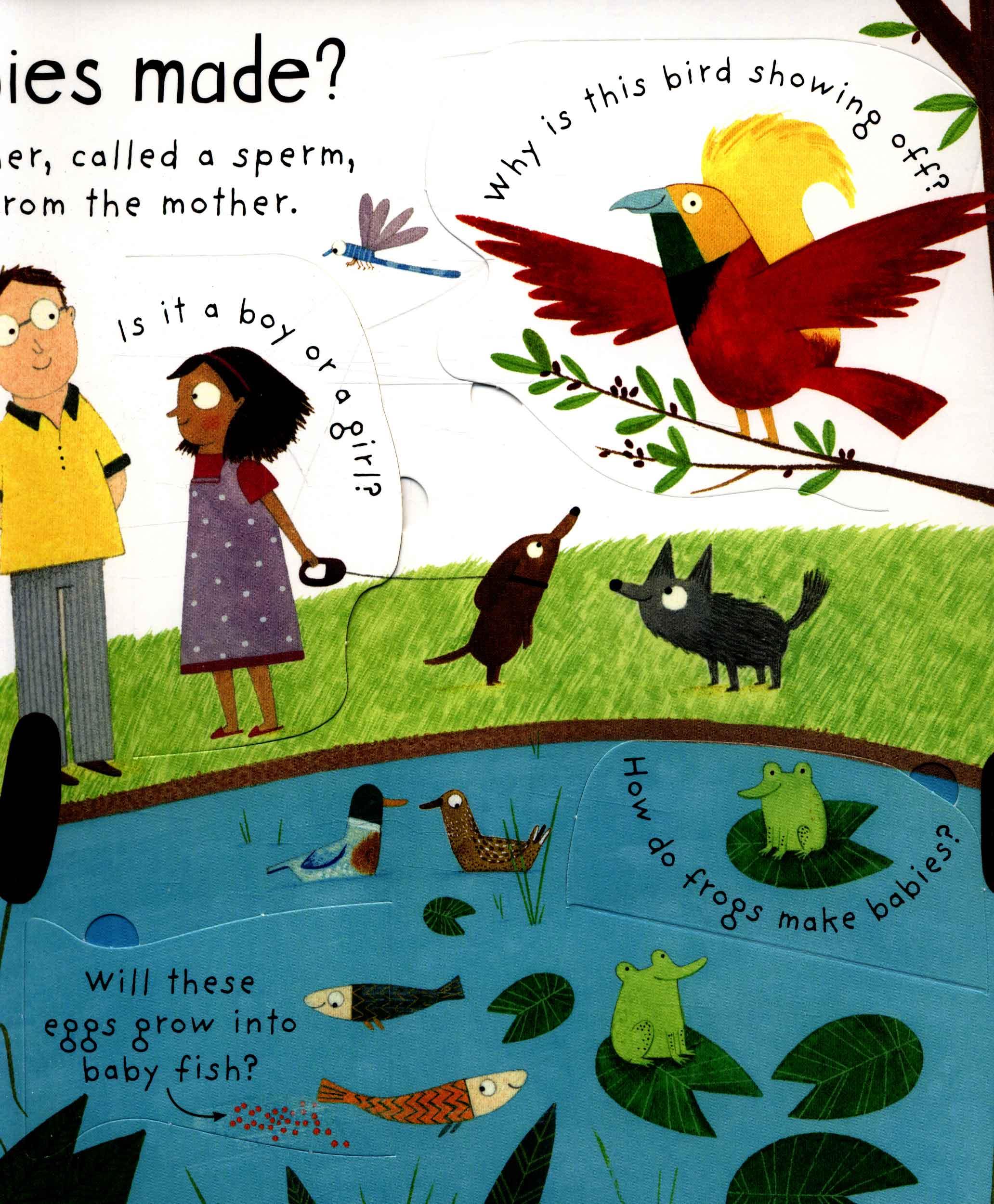 Usborne Where do babies come from?