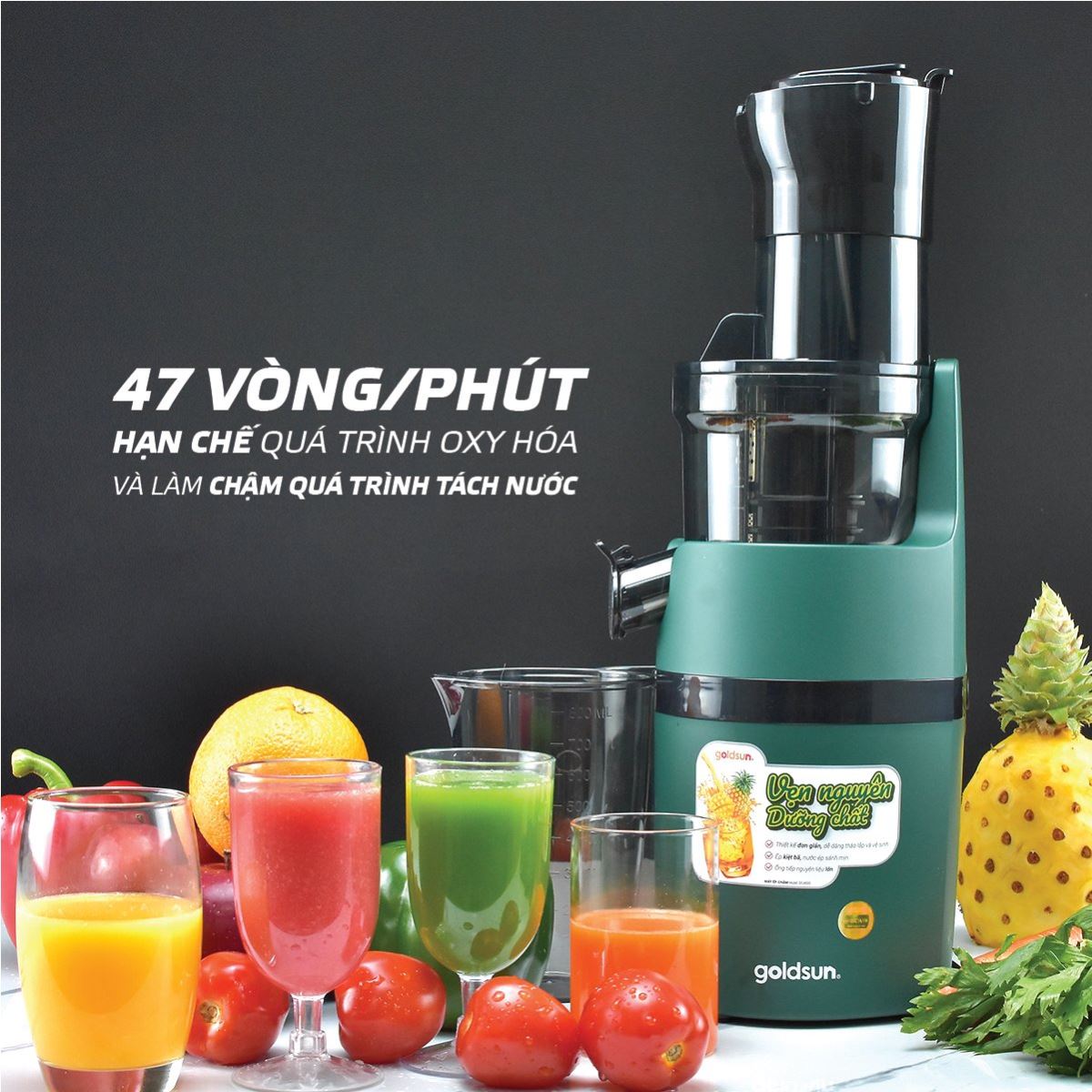 Máy Ép Chậm GOLDSUN GFJ4500, Dung Tích 600Ml, Công Suất 200W - Hàng Chính Hãng