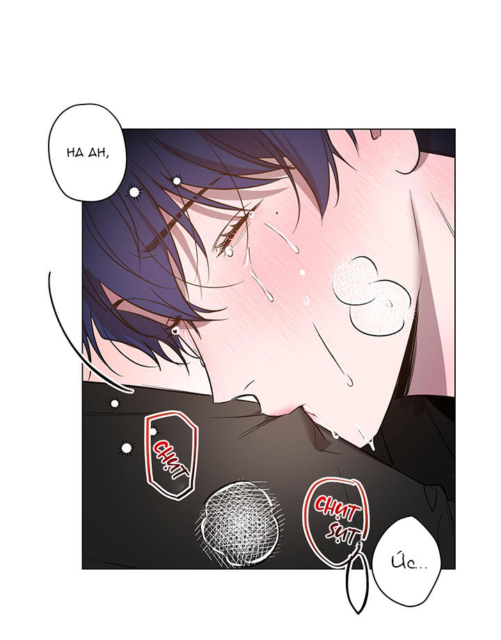 bình minh chia cắt màn đêm chapter 32 39