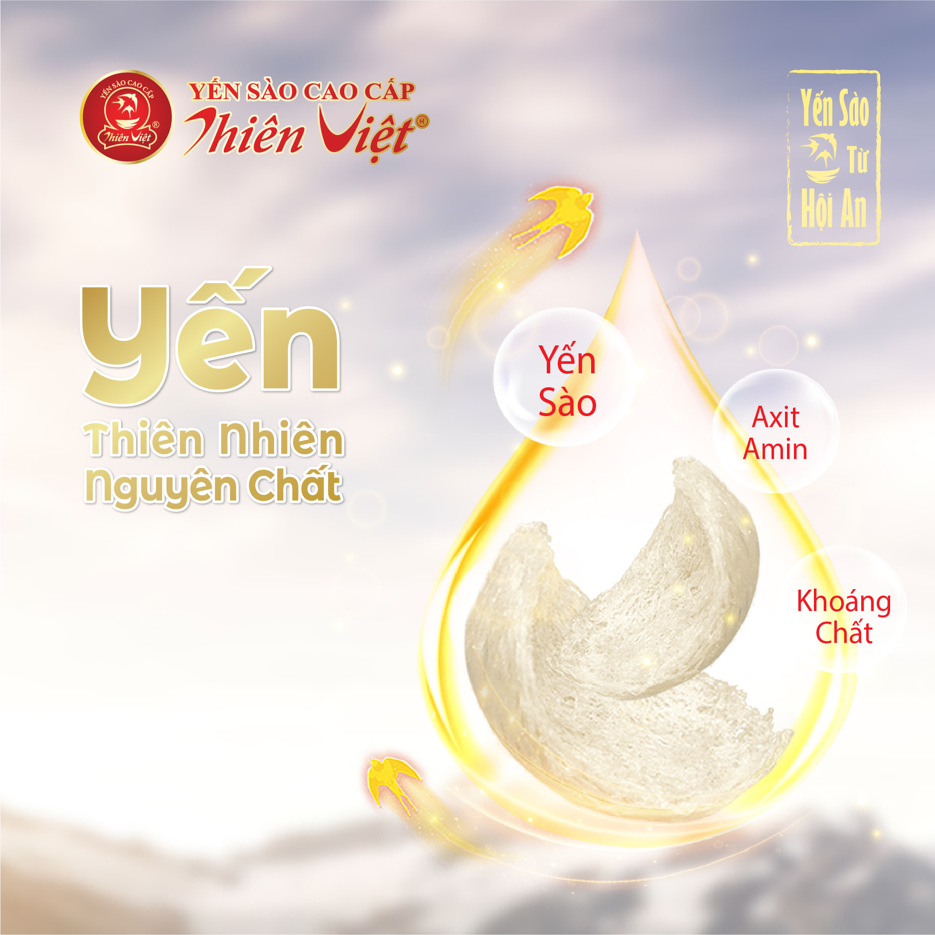 Nước Yến Nhân Sâm Thiên Việt 15% Tổ yến (6 hũ x 70ml)