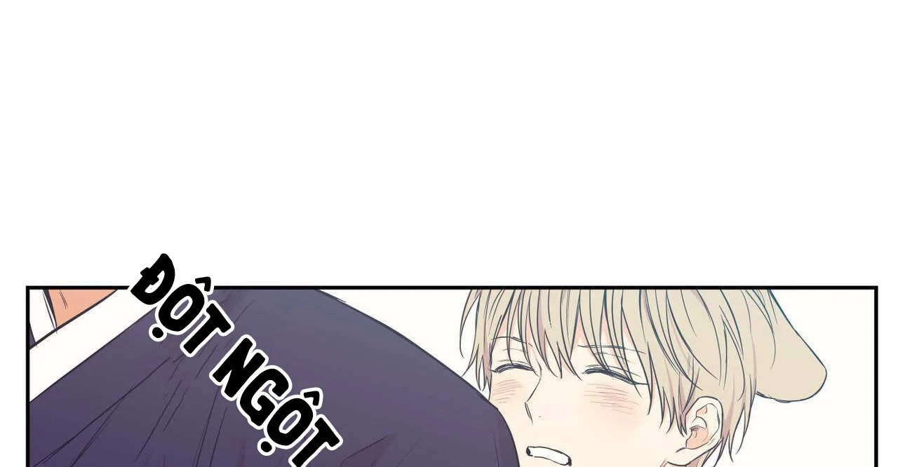 không chốn yêu đương chapter 81 8