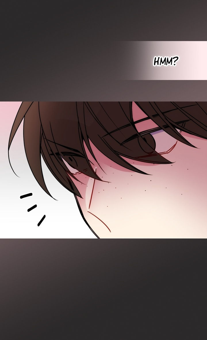 công tước lạnh lùng, alaide chapter 46 19