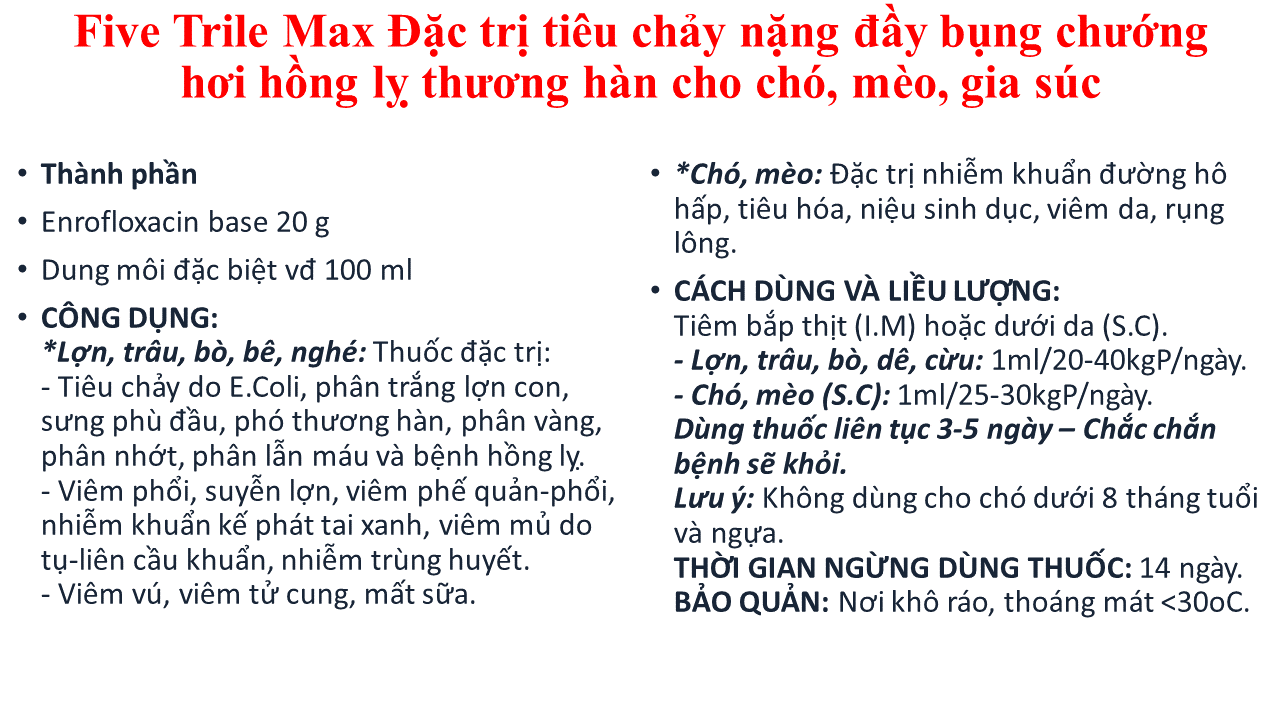 Thuốc dung dịch tiêm Five Trile Max Đ.ặc t.rị tiêu chảy nặng đầy bụng chướng hơi hồng lỵ thương hàn