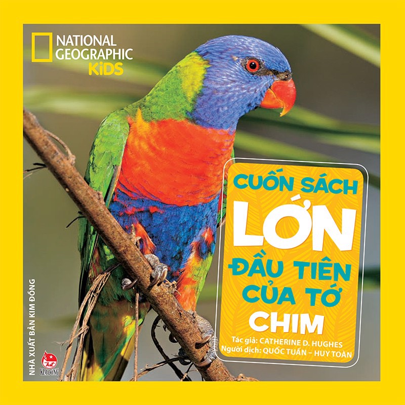 Combo 05 Cuốn sách lớn đầu tiên của tớ: Khủng long, Động vật, Đại dương, Vũ trụ, Chim