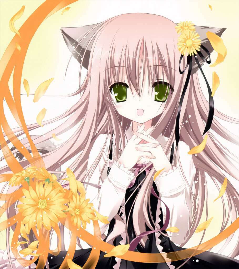 album natural wallpapers chapter 30 2