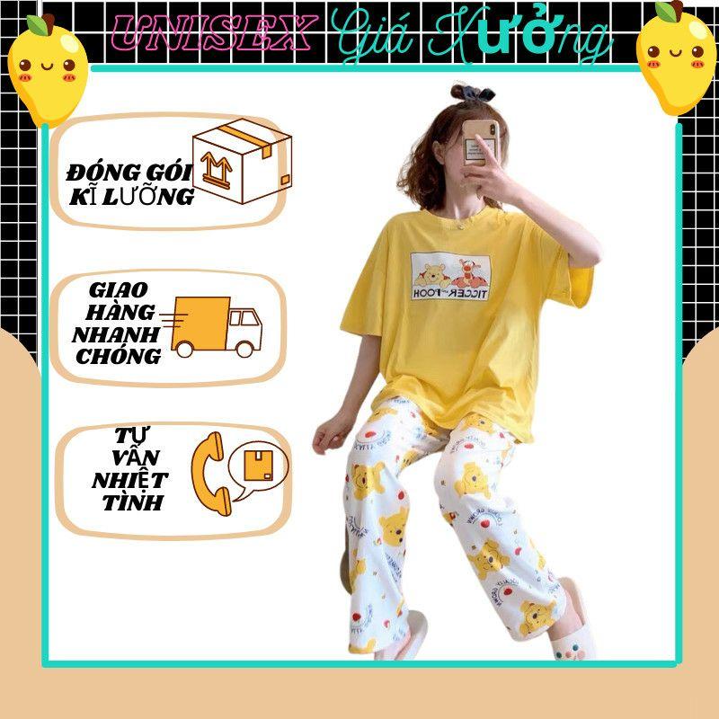 Đồ ngủ, đồ nữ, đồ mặc nhà, đồ bộ, đồ ngủ họa tiết hoạt hình chú cọp and pooh dễ thương