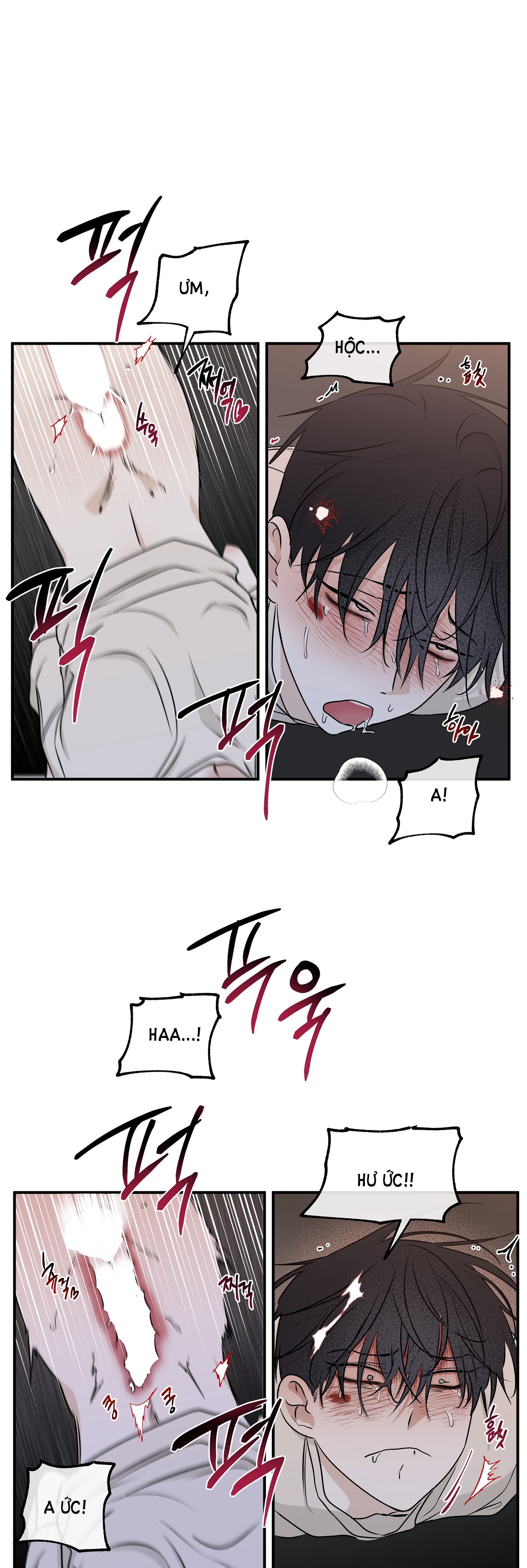 đêm bên bờ biển chapter 54.5 8