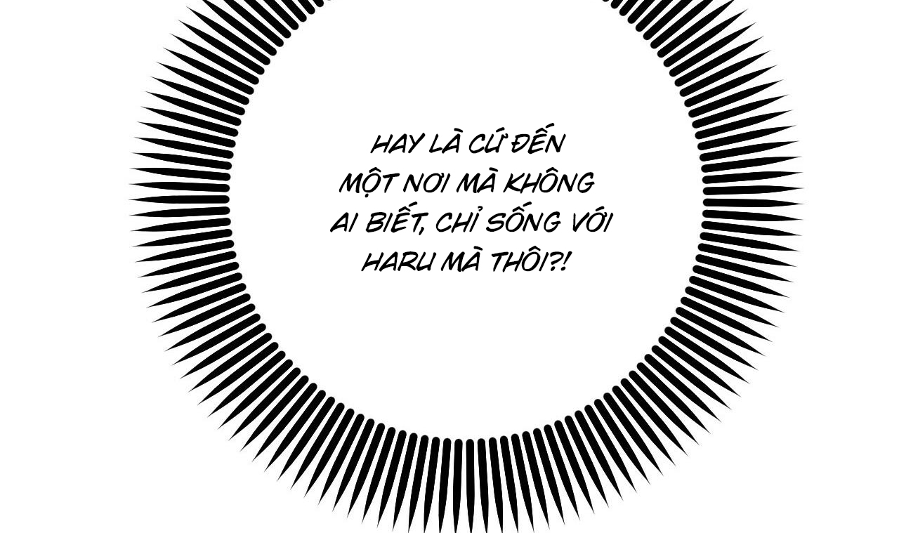 đàn thỏ của habibi chapter 53 50