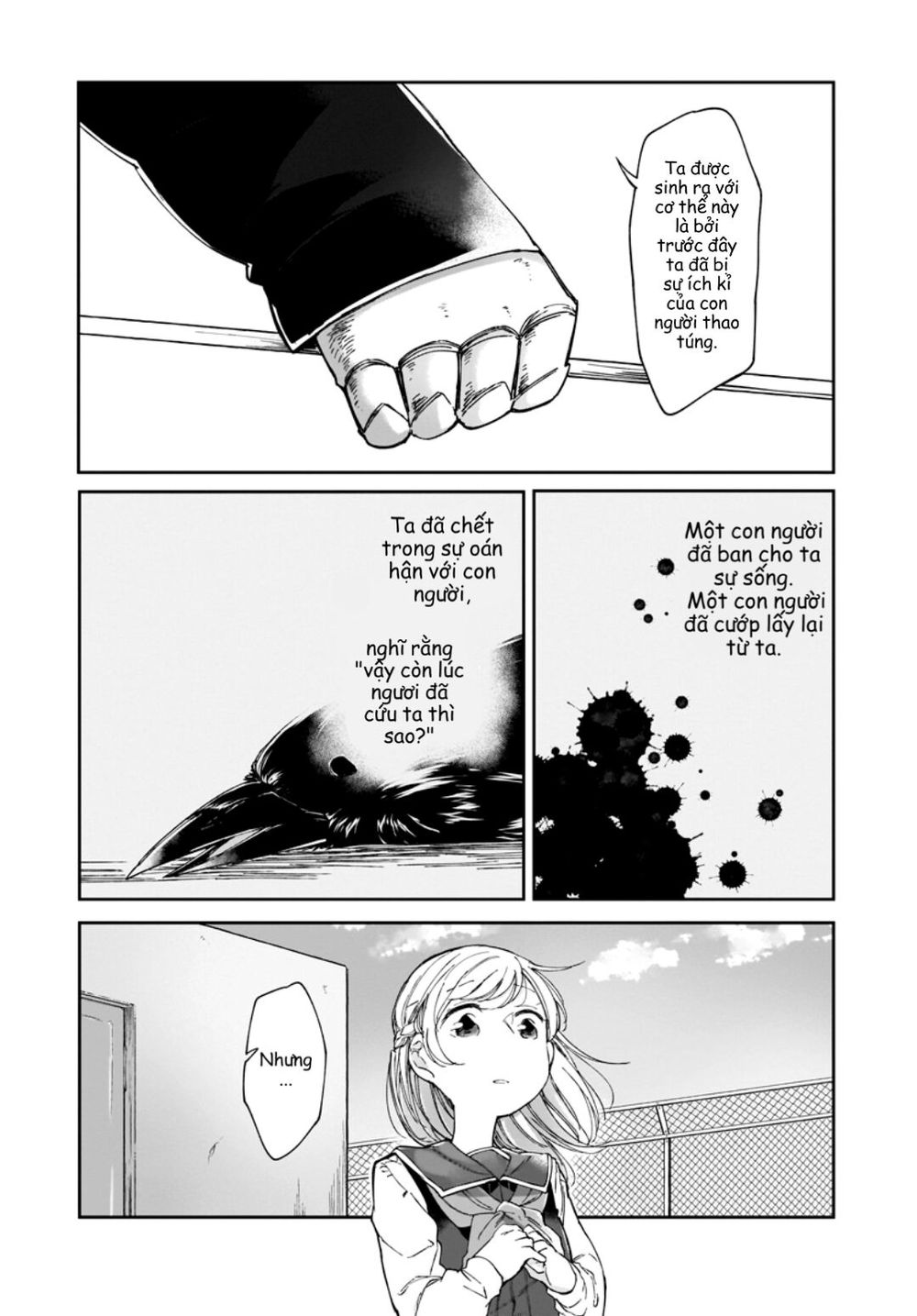 dear noman chapter 7 9