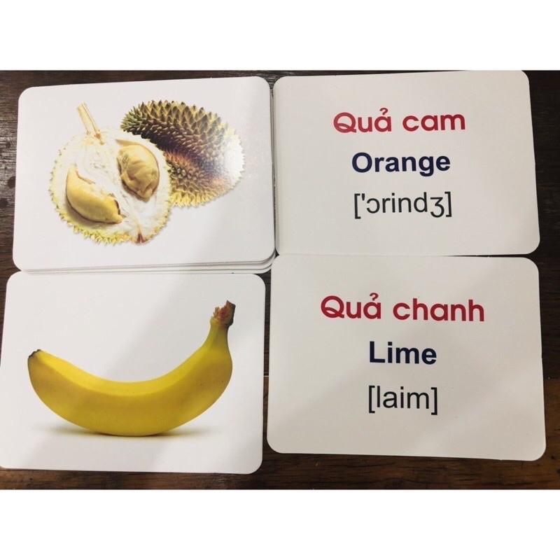 Bộ thẻ học Flash card song ngữ cho bé 19 chủ đề về thế giới xung quanh theo phương pháp Glenn Doman khổ 12x16cm