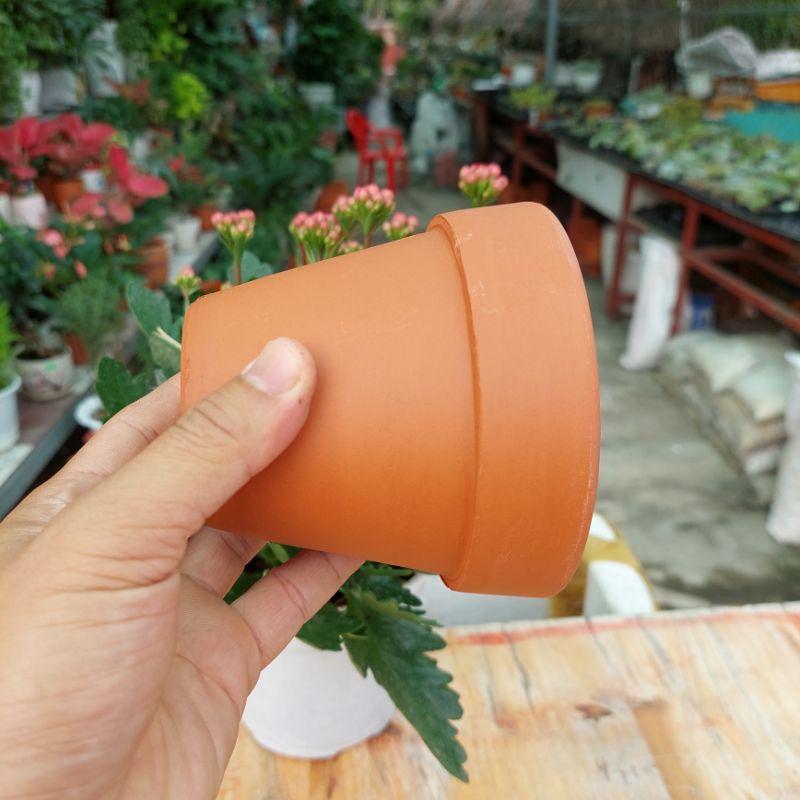 Chậu đất nung Bình Dương - Chậu ly có gờ, đường kính miệng 10cm, chiều cao 9cm
