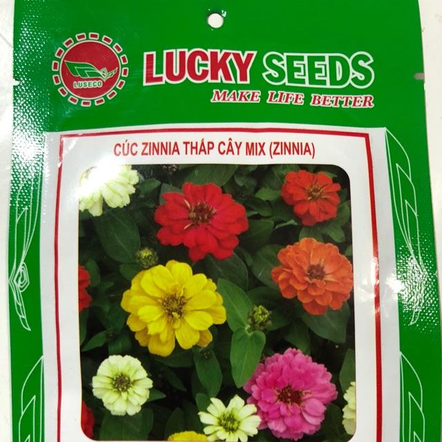 HẠT GIỐNG CÚC ZINNIA THẤP CÂY MIX