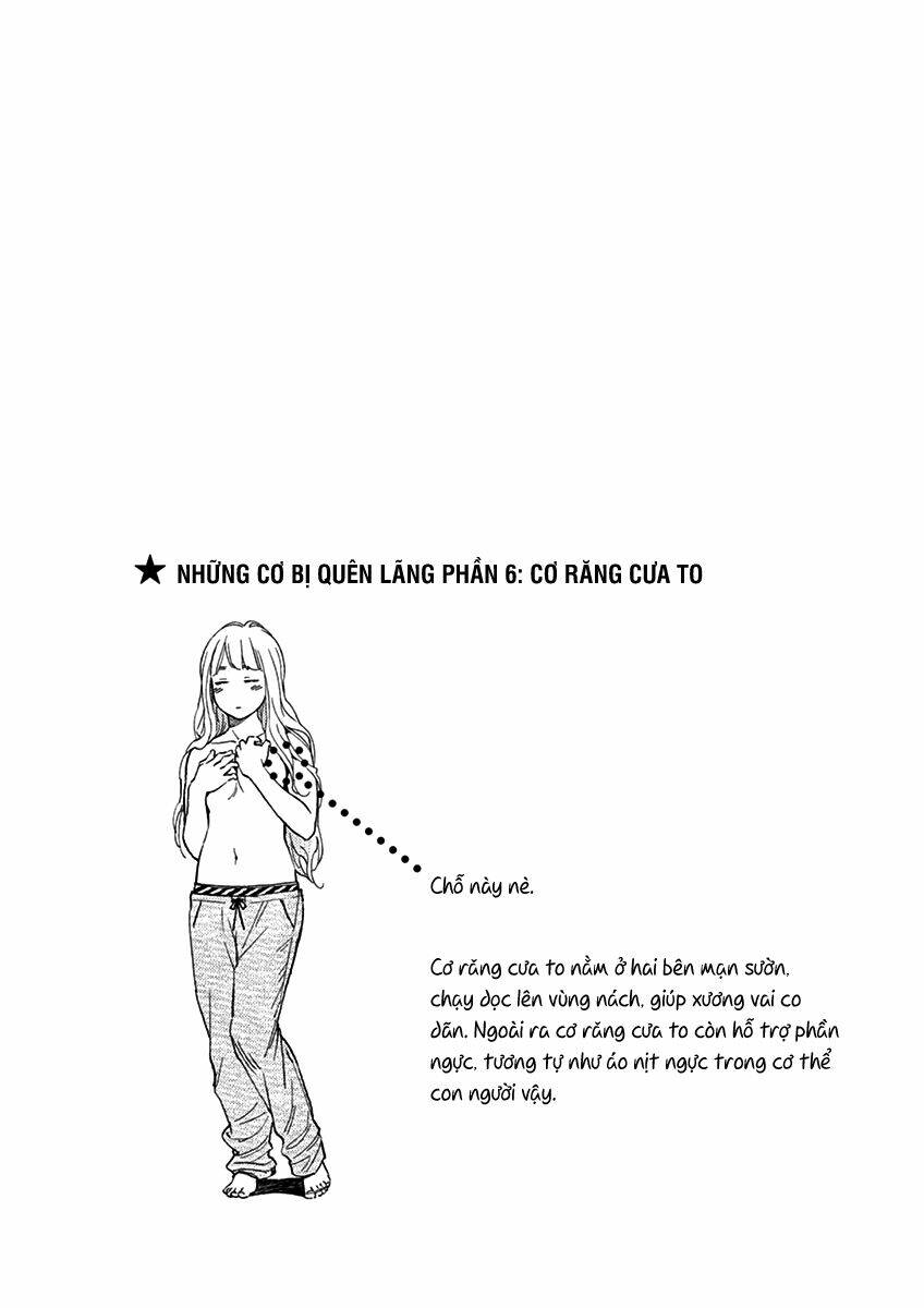 stretch chapter 17 10