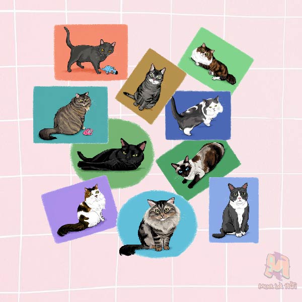 Miếng dán Stickers In Hình Mèo